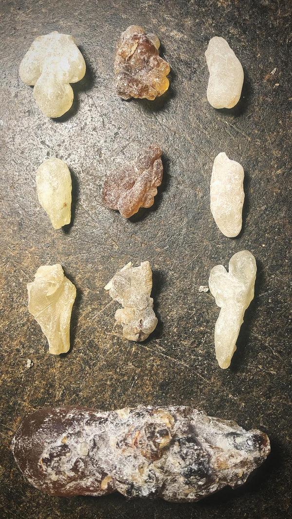 Lue Lu Lab testimonial