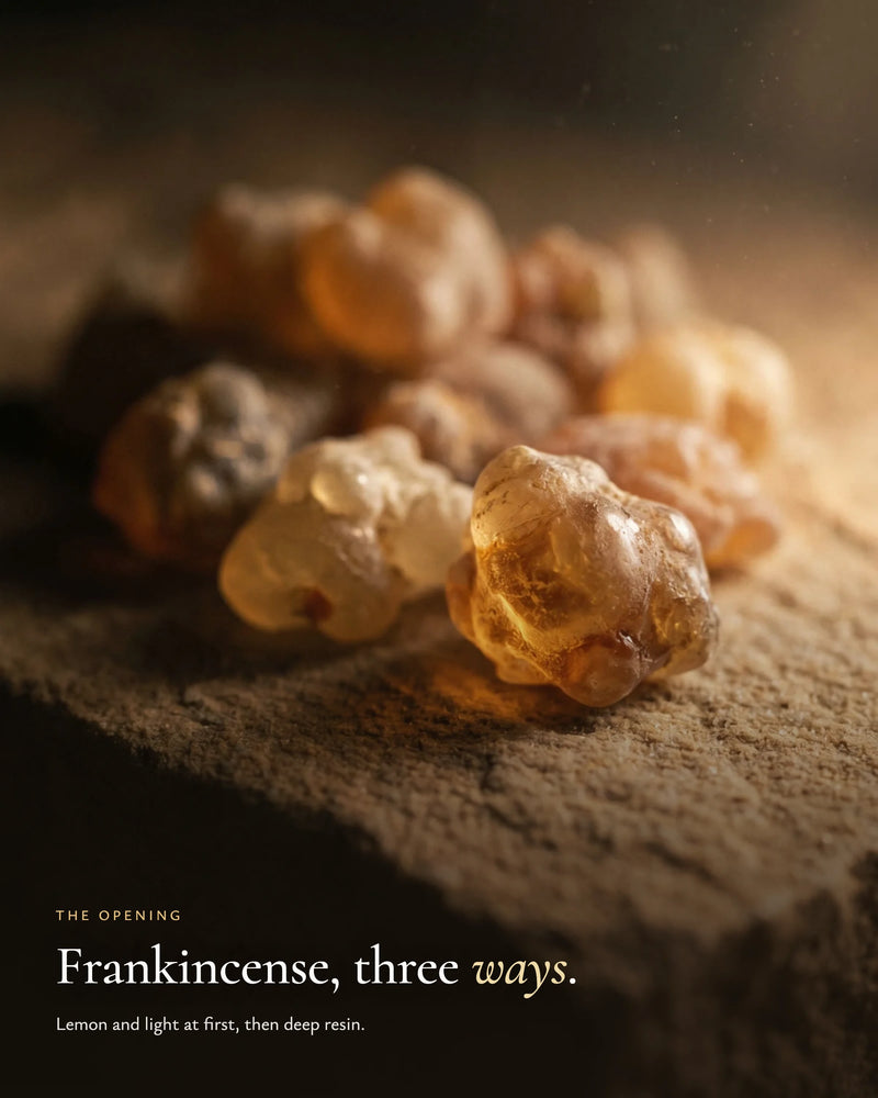 The opening: bright, lemony frankincense