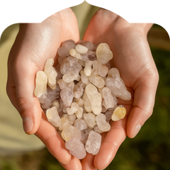 <p>Only available seasonally, in small batches.</p>