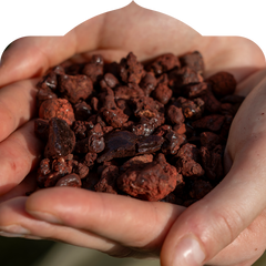 <p>Only available seasonally, in small batches.</p>