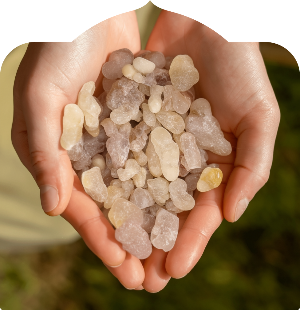 The Shift You'll Feel