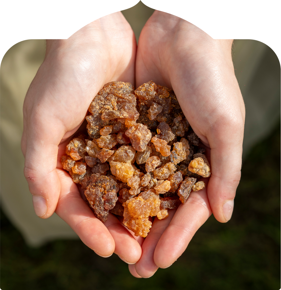 The Shift You'll Feel