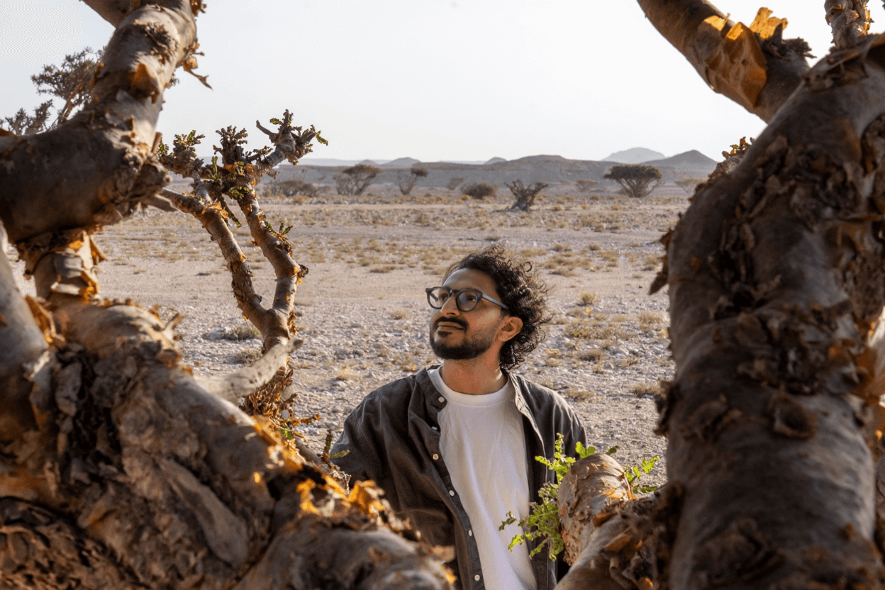 Sacred aromatics from Dhofar
