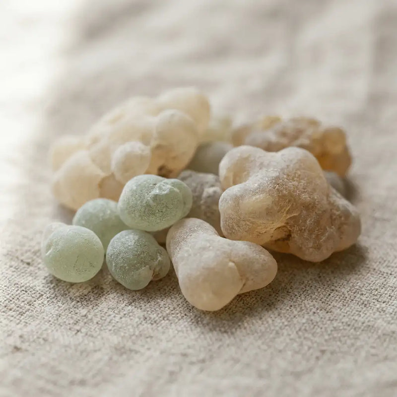 Time Does What Processing Cannot