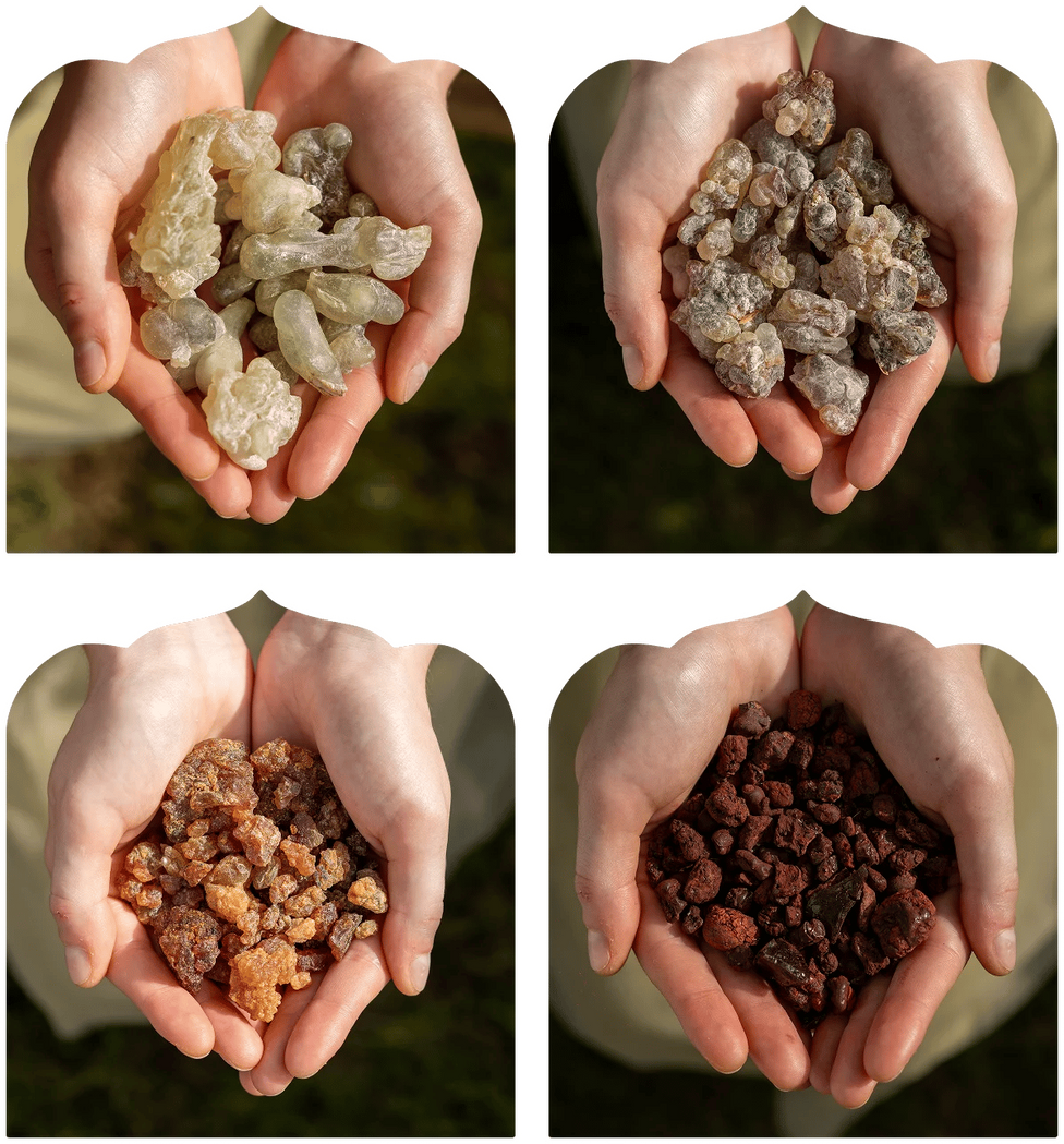 The Shift You'll Feel