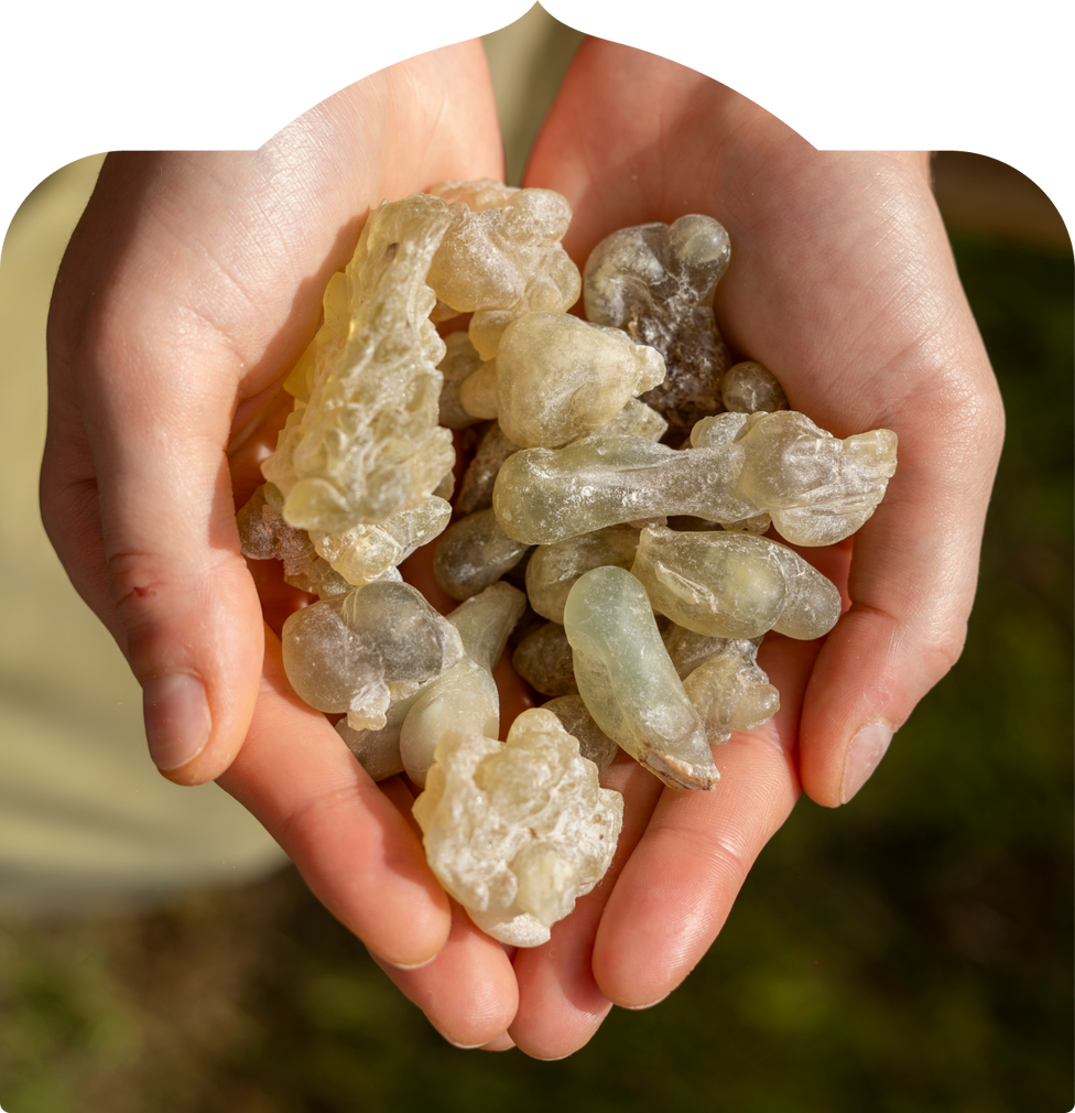 The Shift You'll Feel