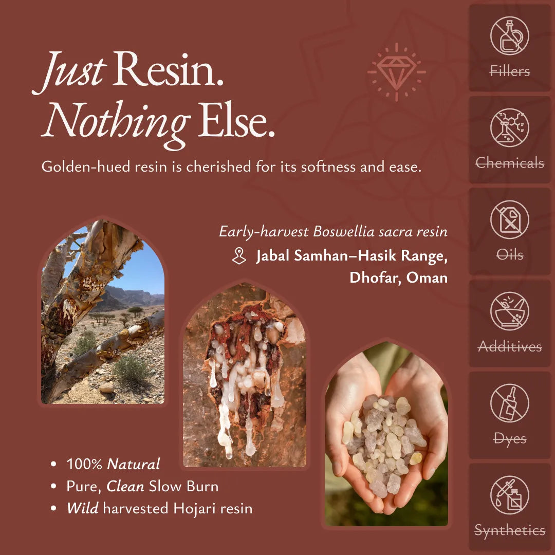 Amber Frankincense
