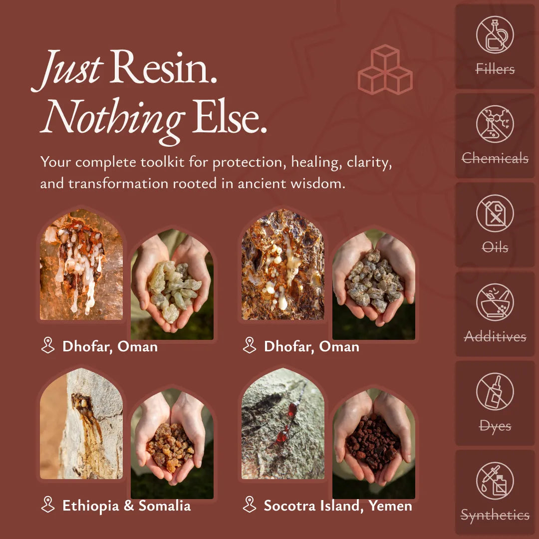 Sacred Resin Bundle