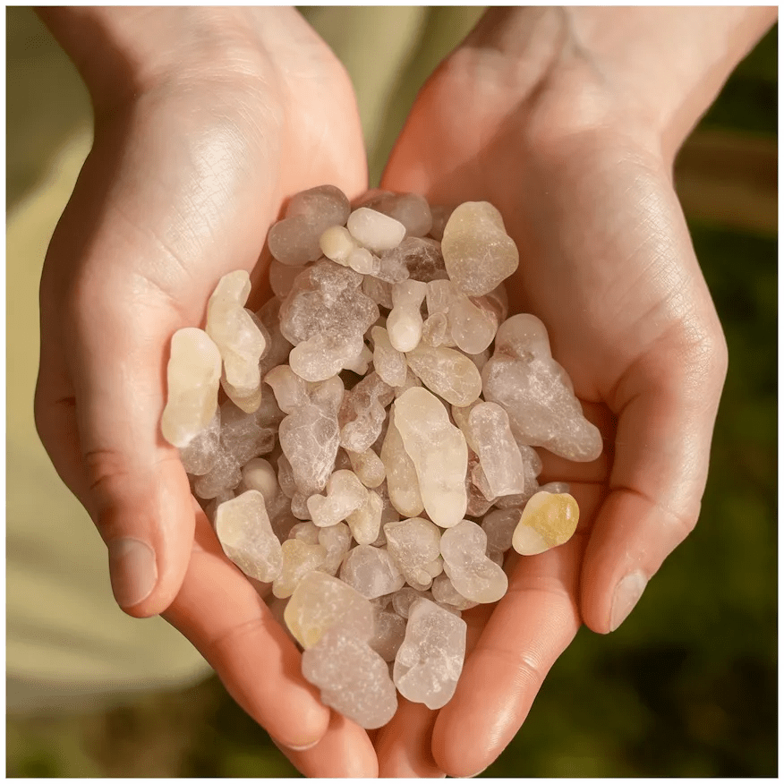 Amber Frankincense - FRNC-AMBER-E-030GM-Q1