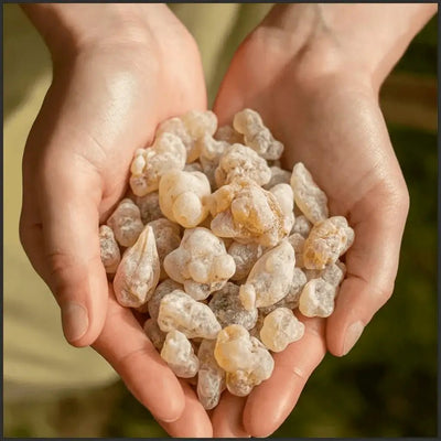 Amber Hojari - Resin - RES-AMB-25