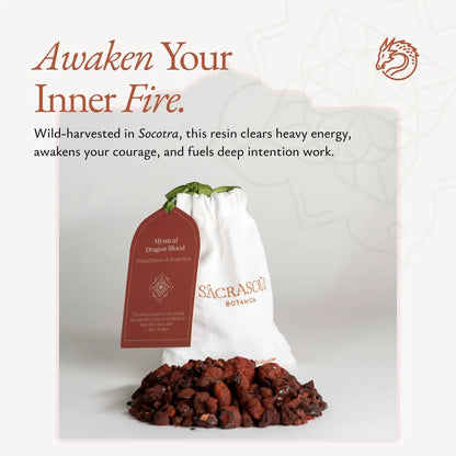 Dragon Blood Resin - RESN-DRAGN-E-020GM-Q1