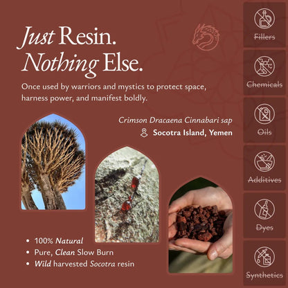 Dragon Blood Resin - RESN-DRAGN-E-020GM-Q1