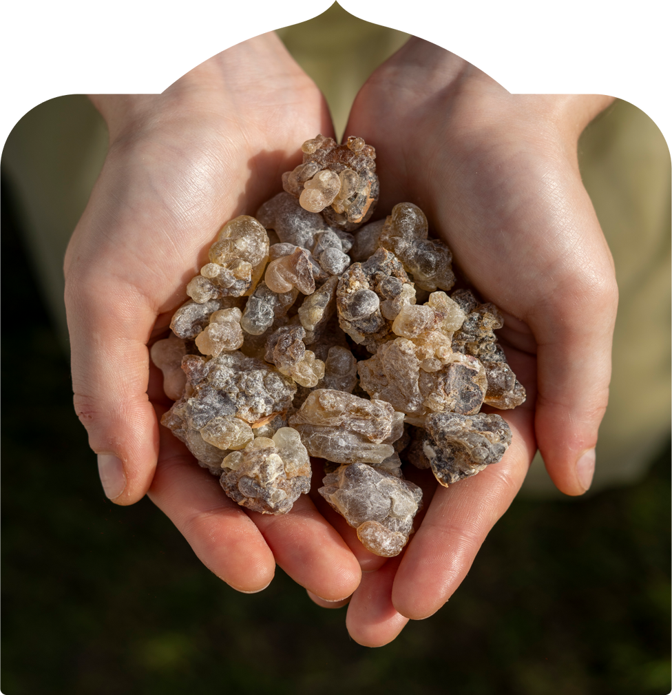 The Shift You'll Feel