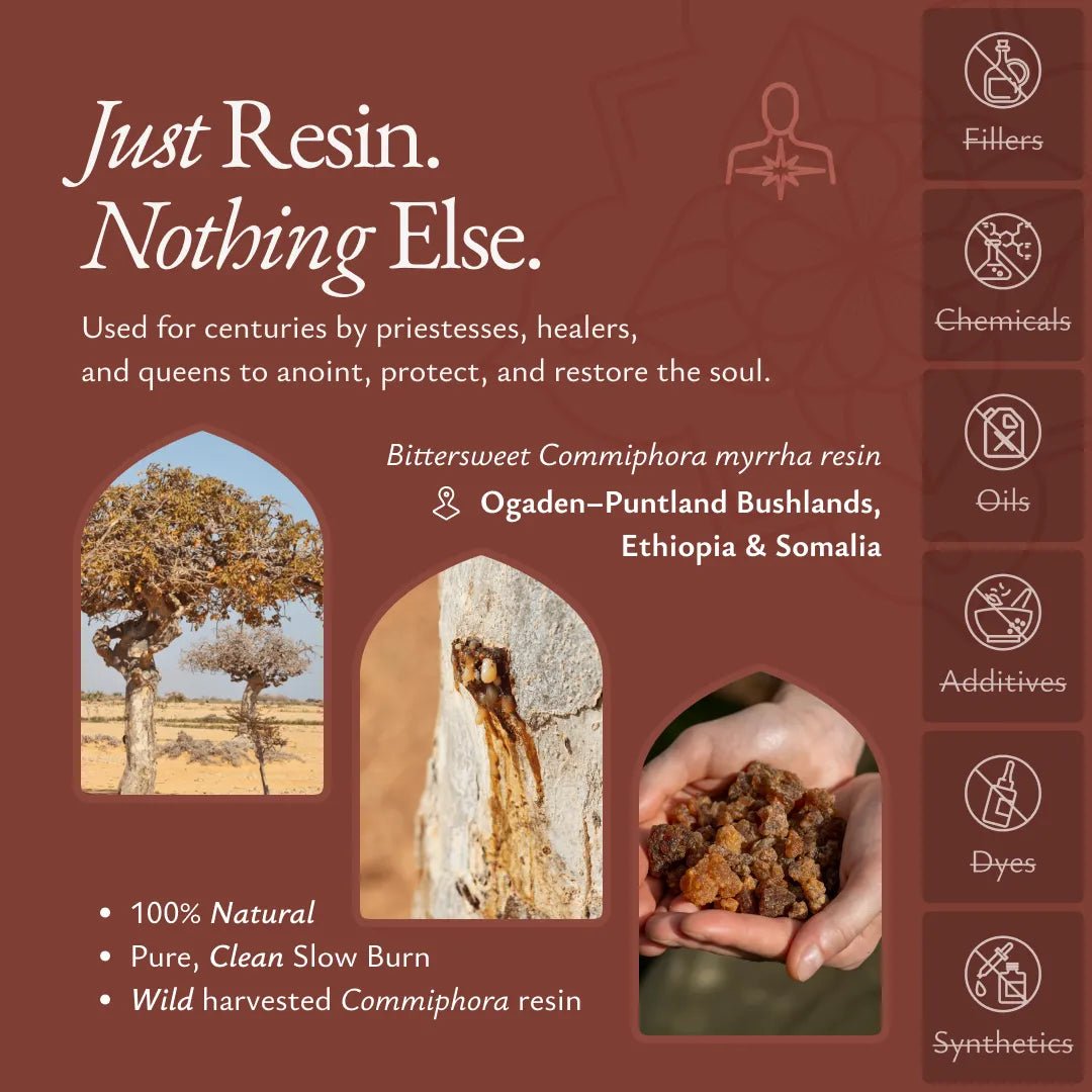 Healing Myrrh - MYRR-HEALM-E-030GM-Q1