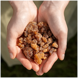 Sacred Myrrh