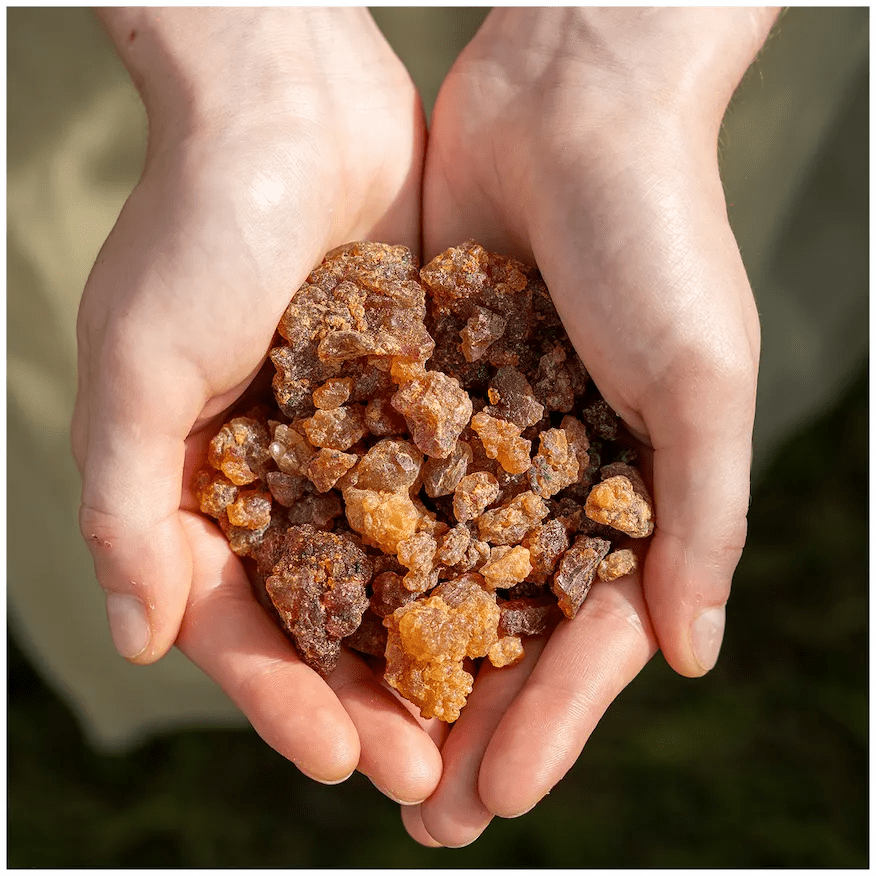 Healing Myrrh - MYRR-HEALM-E-030GM-Q1