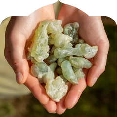 <p>Only available seasonally, in small batches.</p>