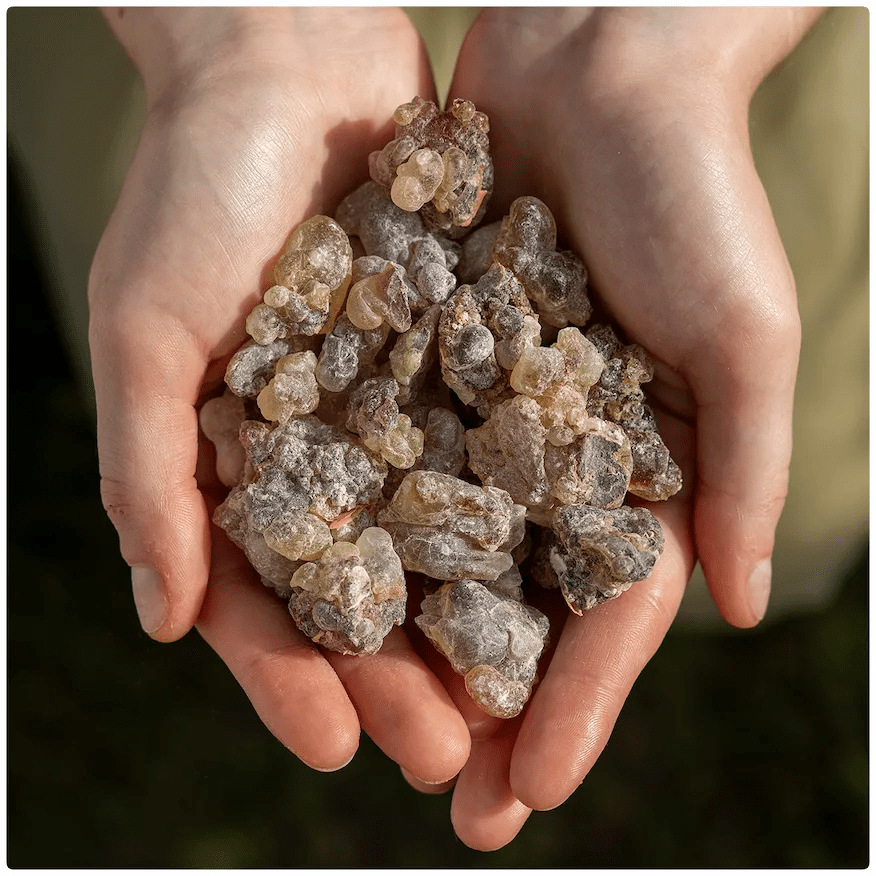 Noir Frankincense - FRNC-NOIRF-E-030GM-Q1