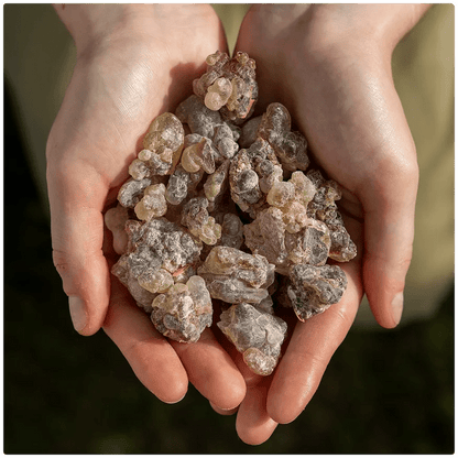 Noir Frankincense - FRNC-NOIRF-E-030GM-Q1