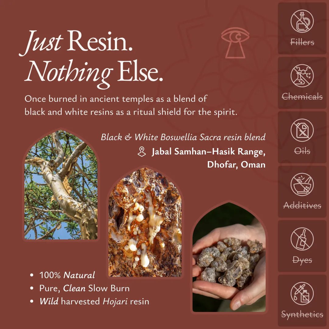 Noir Frankincense - FRNC-NOIRF-E-030GM-Q1