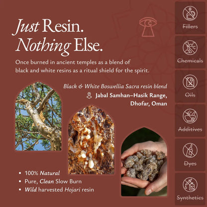 Noir Frankincense - FRNC-NOIRF-E-030GM-Q1