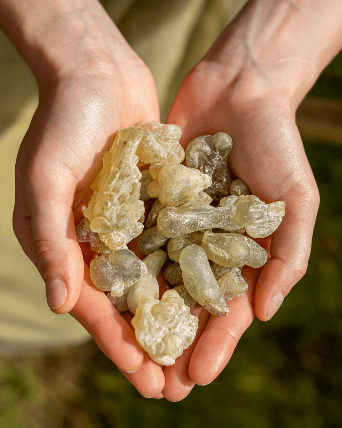 Sultan’s Jade Frankincense