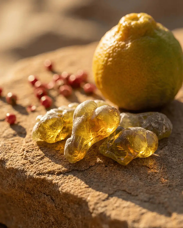 Sunlit Frankincense