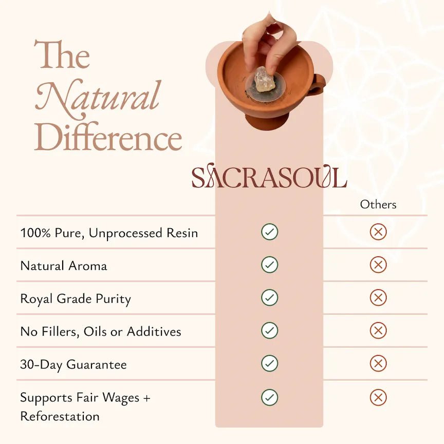 Terracotta Burner - ACCS-BURNR-E-001PC-Q1