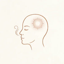 The scent reaching the brain
