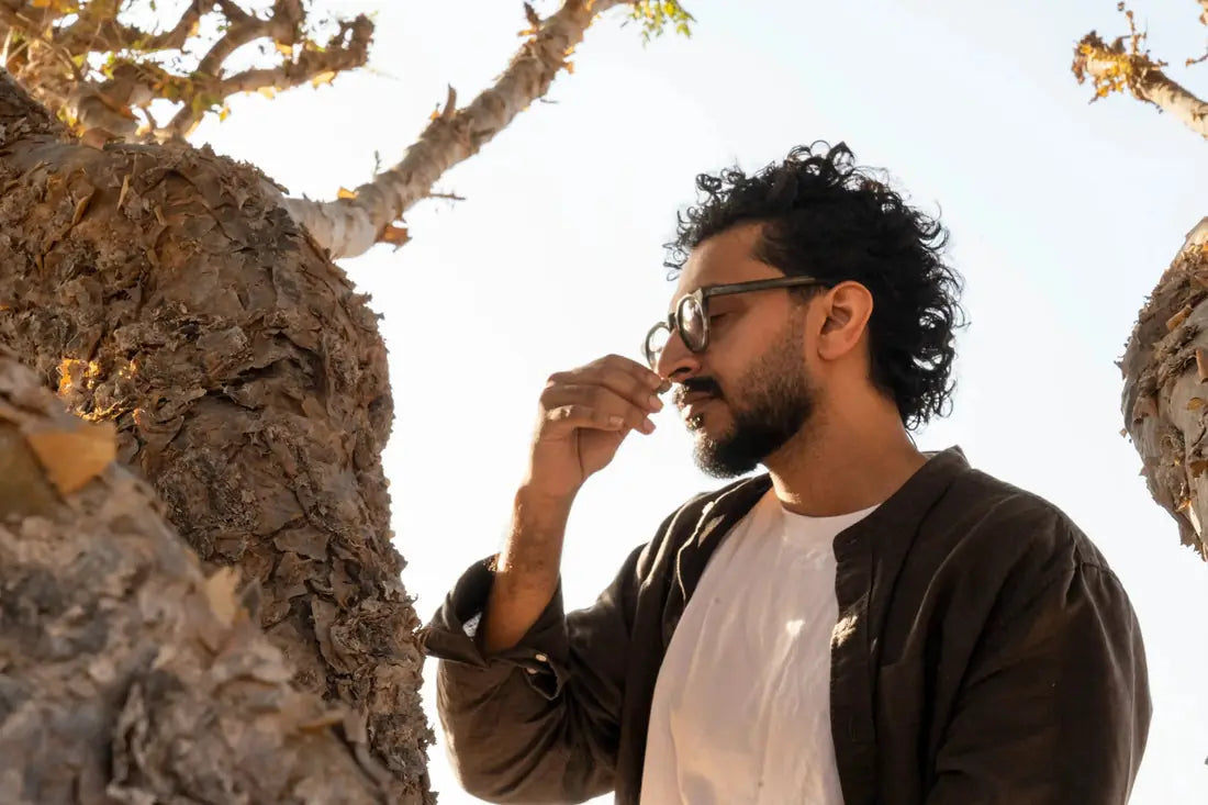 Sho among the Boswellia trees in Dhofar, smelling freshly harvested resin