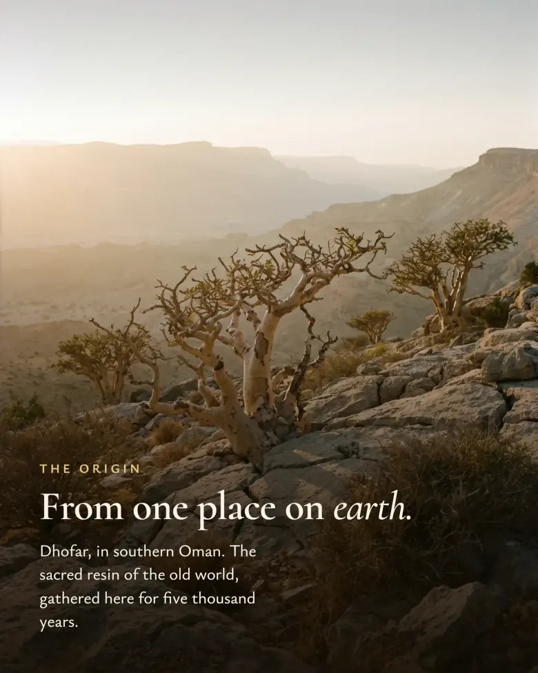 Dhofar, Oman, het Land van de Wierook