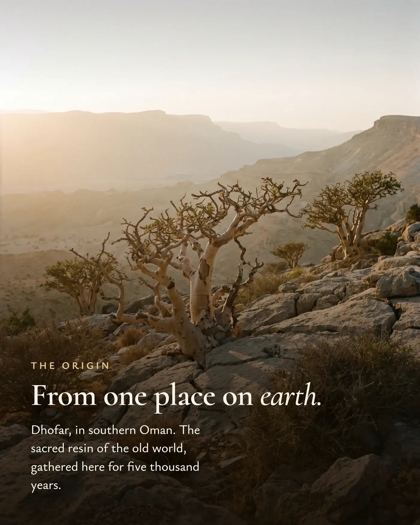 Dhofar, Oman, the Land of Frankincense