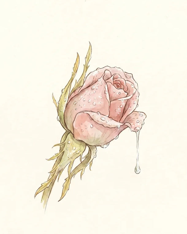 Hlavová nota, ilustrace: sladký, svěží citrus jako lístky mokré od ranní rosy